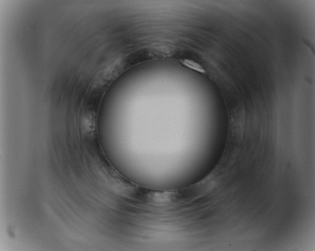 X0000103490134200809191931