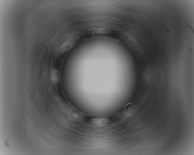 X0000103490135200809191931