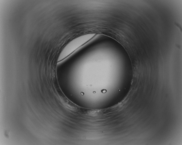 X0000103490136200809191931