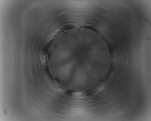 X0000103490139200809191931