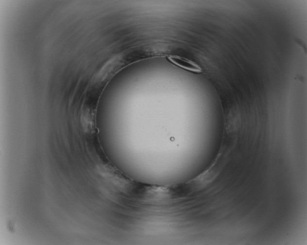 X0000103490140200809191931