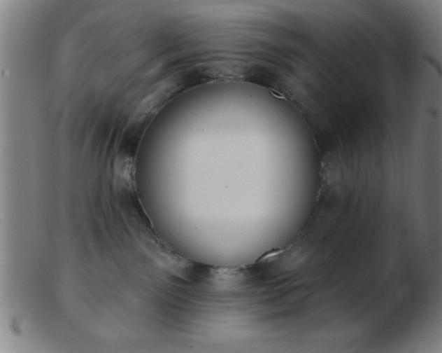 X0000103490141200809191931