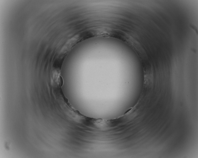 X0000103490142200809191931