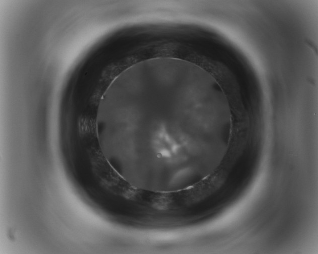 X0000103490143200809191931