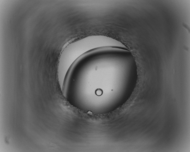 X0000103490144200809191931