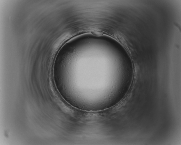 X0000103490145200809191930