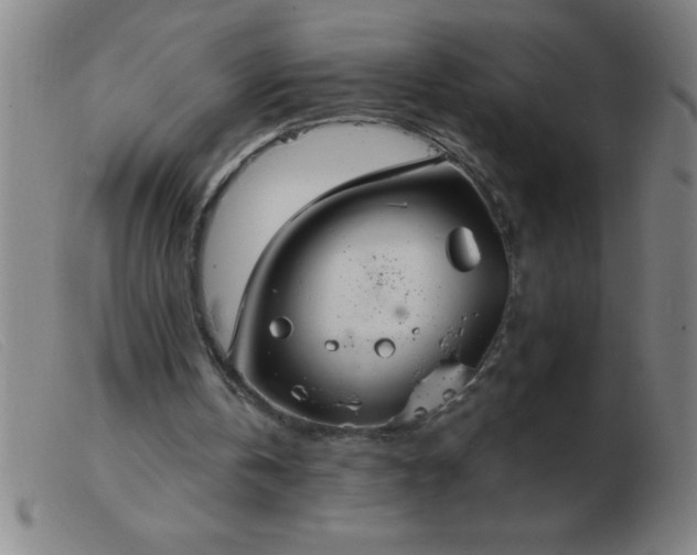 X0000103490146200809191930