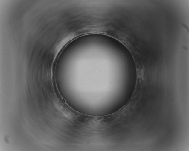 X0000103490148200809191930