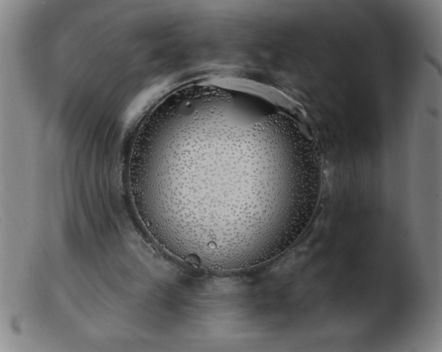 X0000103490149200809191930