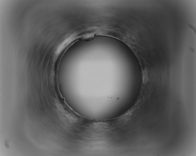 X0000103490150200809191930