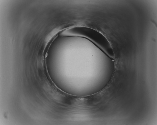 X0000103490152200809191930