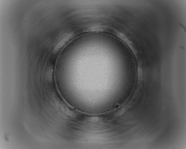 X0000103490153200809191930