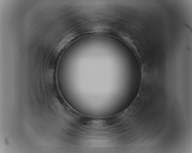 X0000103490154200809191930