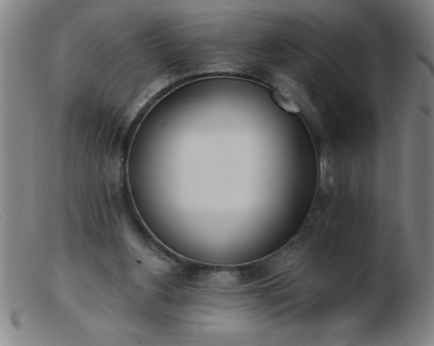 X0000103490156200809191930