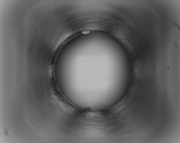 X0000103490160200809191930