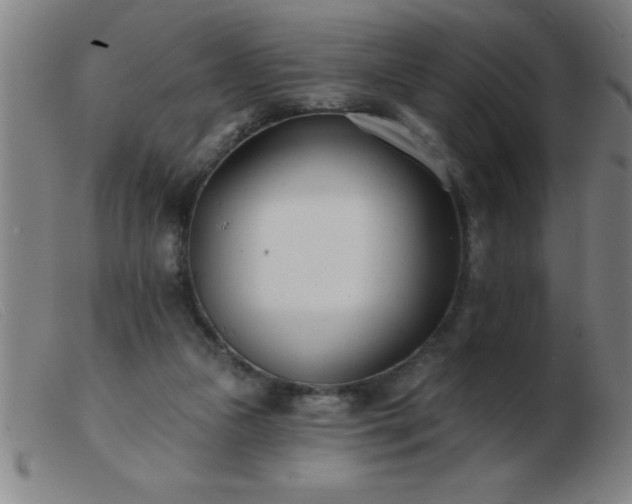 X0000103490161200809191930