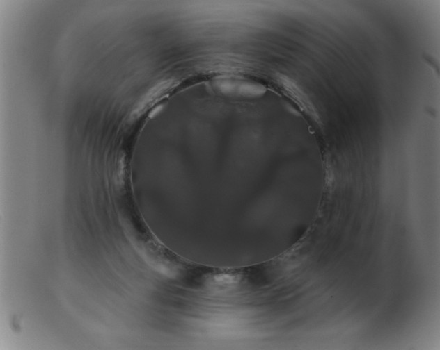 X0000103490163200809191930