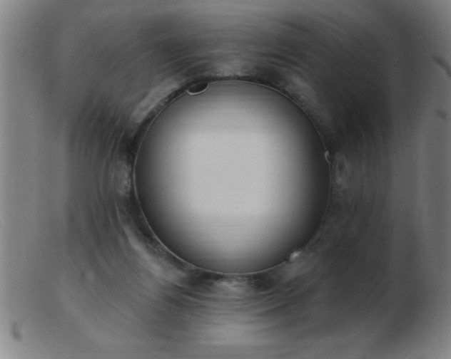 X0000103490164200809191930