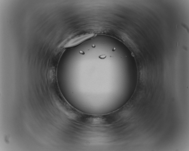 X0000103490165200809191930