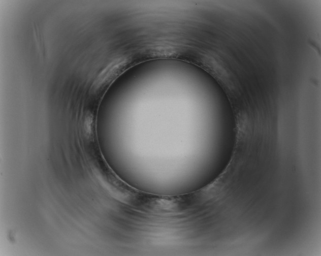 X0000103490166200809191930