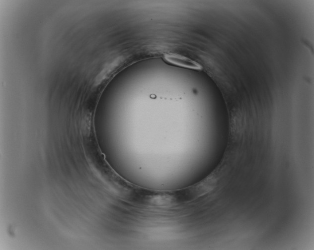 X0000103490168200809191930