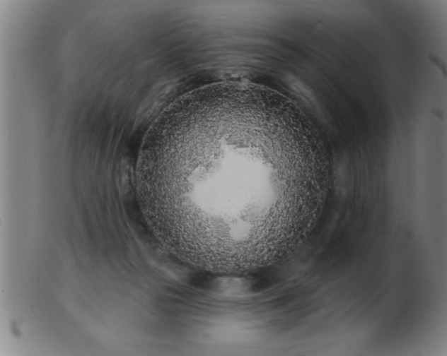 X0000103490169200809191930