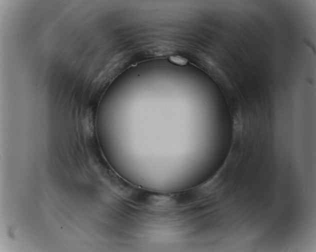 X0000103490170200809191930