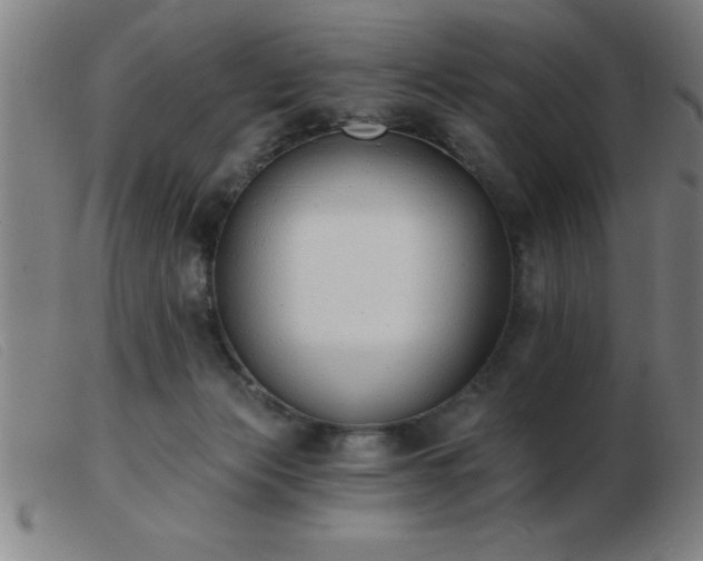 X0000103490173200809191931