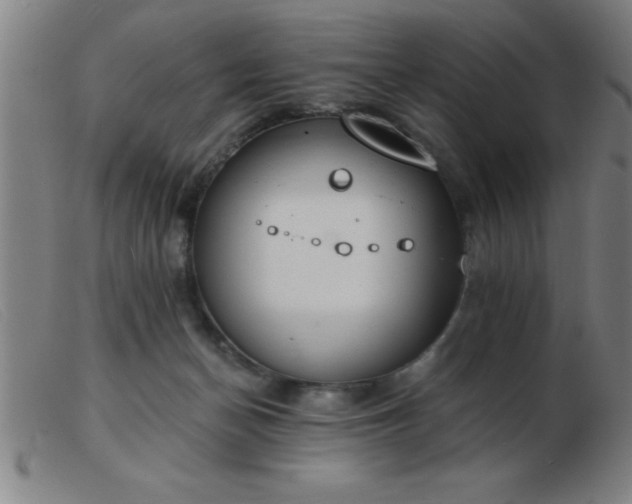 X0000103490174200809191931