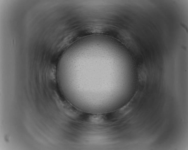 X0000103490175200809191931