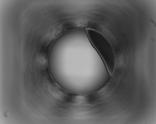 X0000103490176200809191931