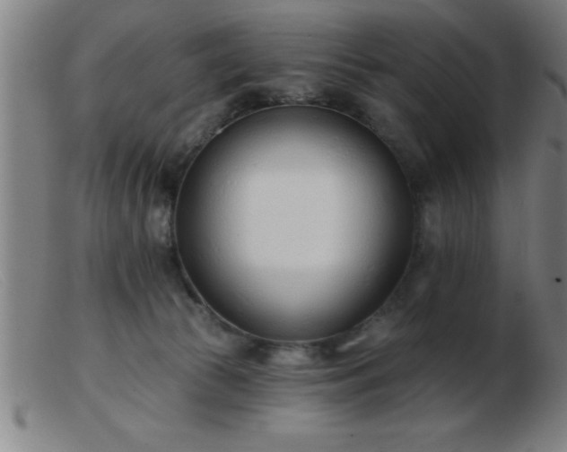 X0000103490177200809191931