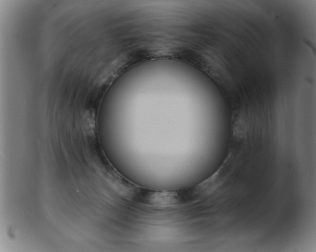 X0000103490179200809191931