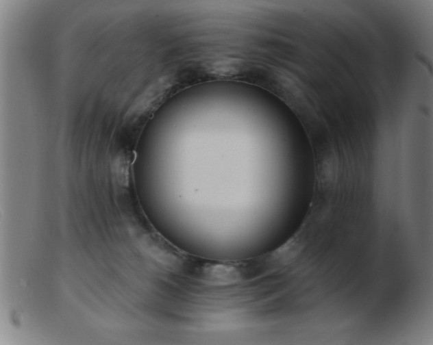 X0000103490180200809191931