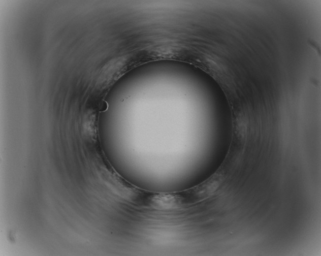 X0000103490181200809191931