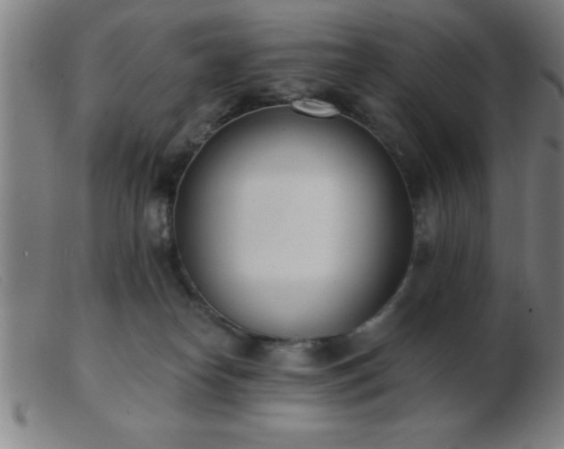 X0000103490182200809191931