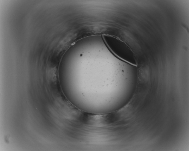 X0000103490184200809191931