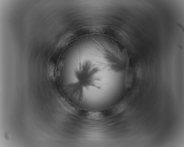 X0000103490185200809191931
