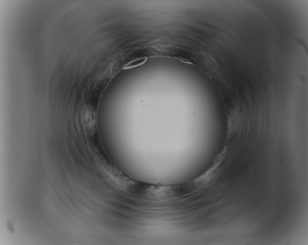 X0000103490186200809191931