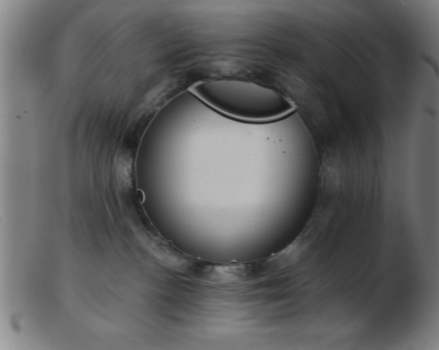 X0000103490188200809191931