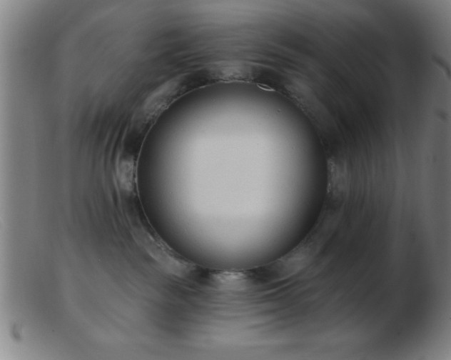 X0000103490189200809191931