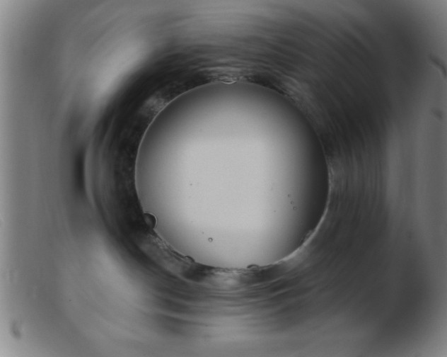 X0000103490190200809191931