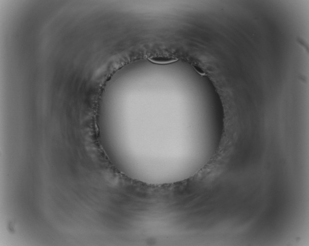 X0000103490192200809191931