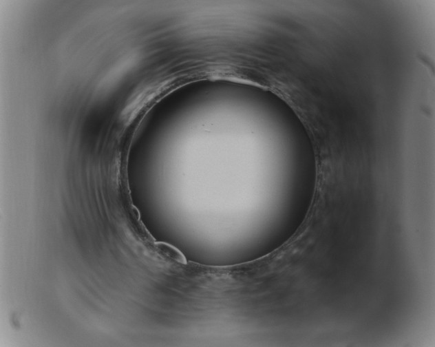 X0000103490194200809191930