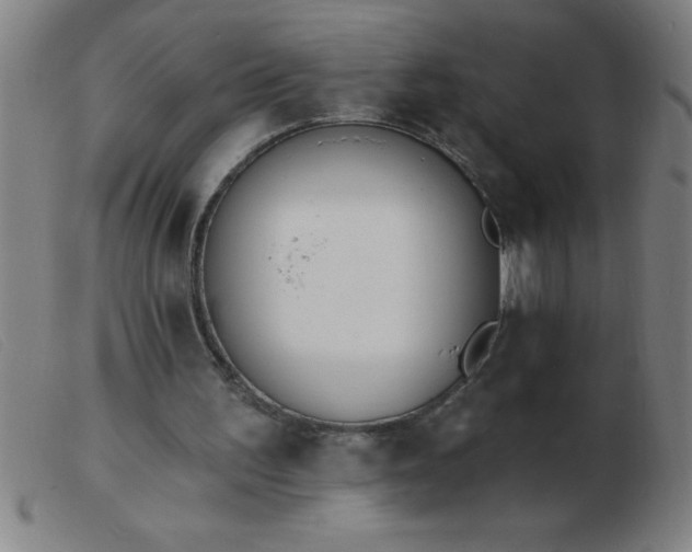 X0000103490195200809191930