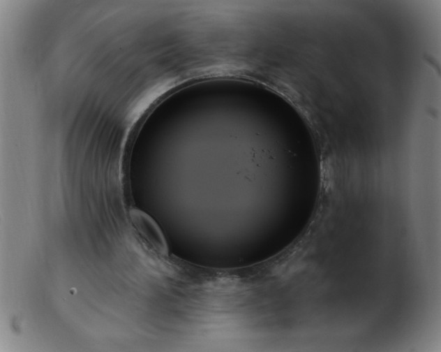 X0000103490196200809191930