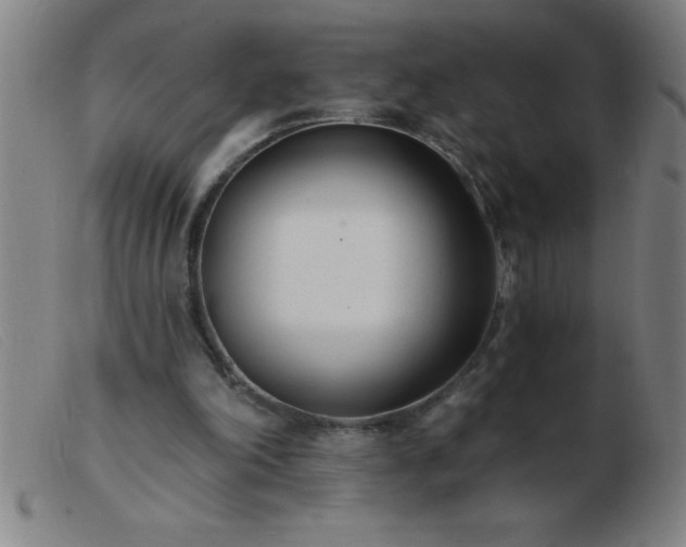 X0000103490198200809191930