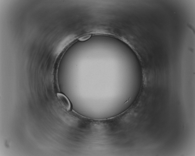 X0000103490199200809191930