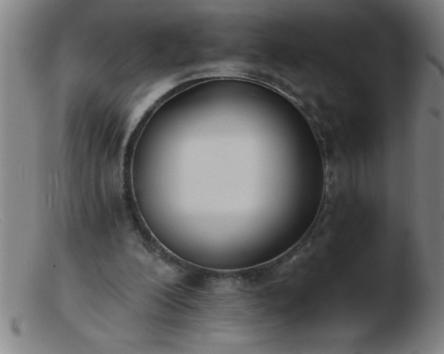 X0000103490200200809191930