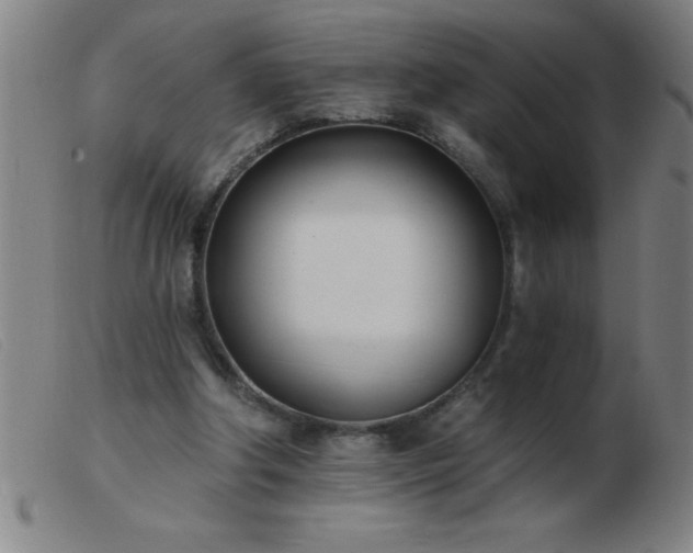 X0000103490202200809191930